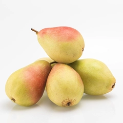 Santa Maria Armut Türleri ve Özellikleri